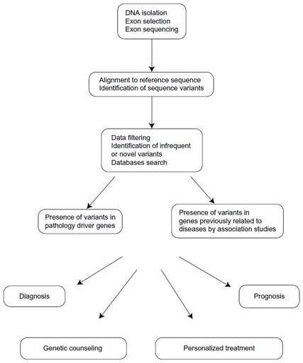 Evolutionary, Medical, and Clinical Applications of Whole Exome Sequencing