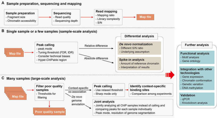 Pipeline and Tools Comparison for ChIP-Seq Analysis