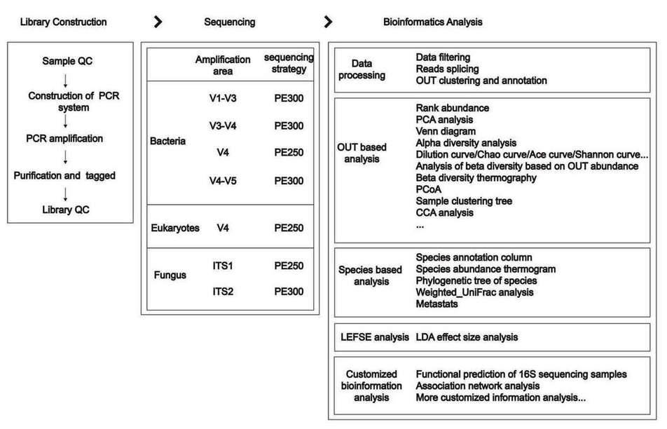 Fig.4 The workflow of 16S/18S/ITS amplicon sequencing