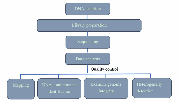 The Data Analysis Pipeline of AAV Genome Sequencing.