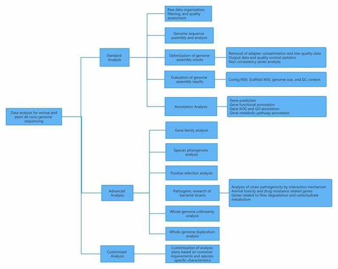Analysis of data for animal and plant de novo genome sequencing.