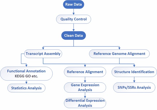 The Data Analysis Pipeline of Iso-Seq.