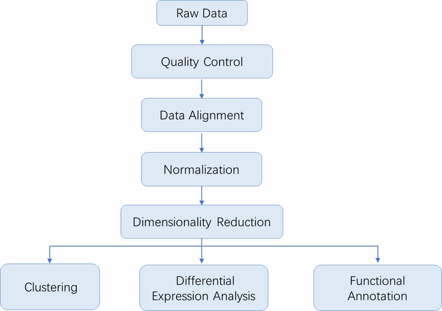 The Data Analysis Pipeline of Single-Cell Sequencing.
