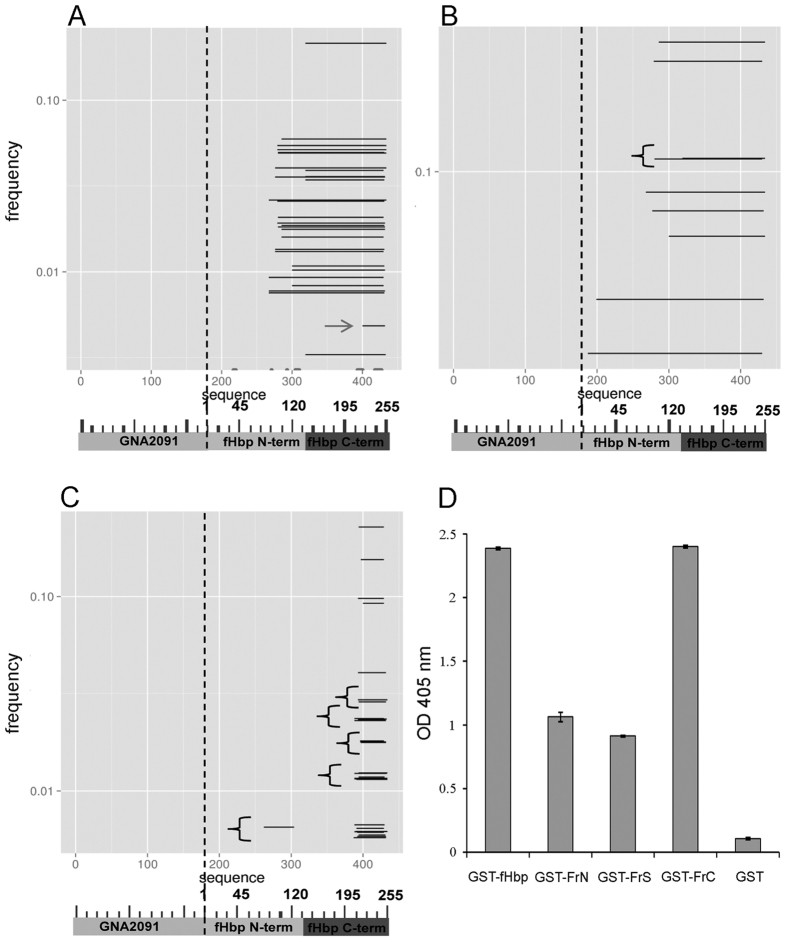 Enrichment of fHbp fragments after affinity-selection of phage-displayed libraries and immunoreactivity of selected antigenic fragments with the 12C1 mAb.