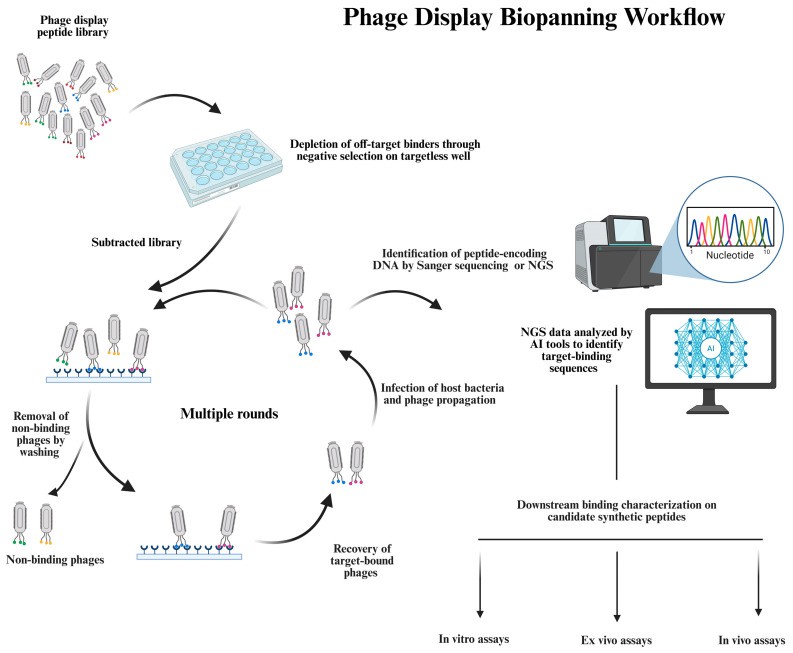 The lysis rate of phage vE20 in different MOI.