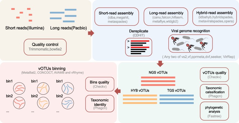 Overall workflow of this study.