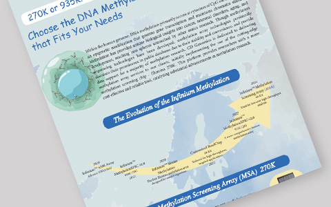 Choose the DNA Methylation Microarray Service that Fits Your Needs- 270K or 935K?