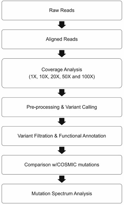 Applications of Exome Sequencing in Animals