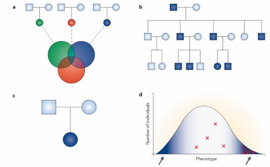 Find disease-causing rare variants using exome sequencing. 