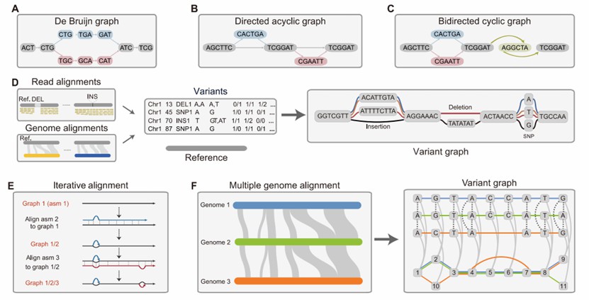 Applications of Pan Genome in Plants