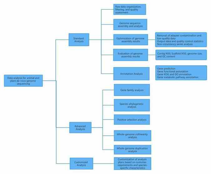 Analysis of data for bacterial and fungal de novo genome sequencing.