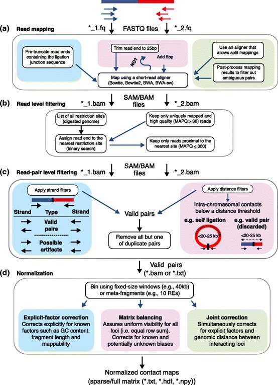 How to Analysis Hi-C Sequencing Data