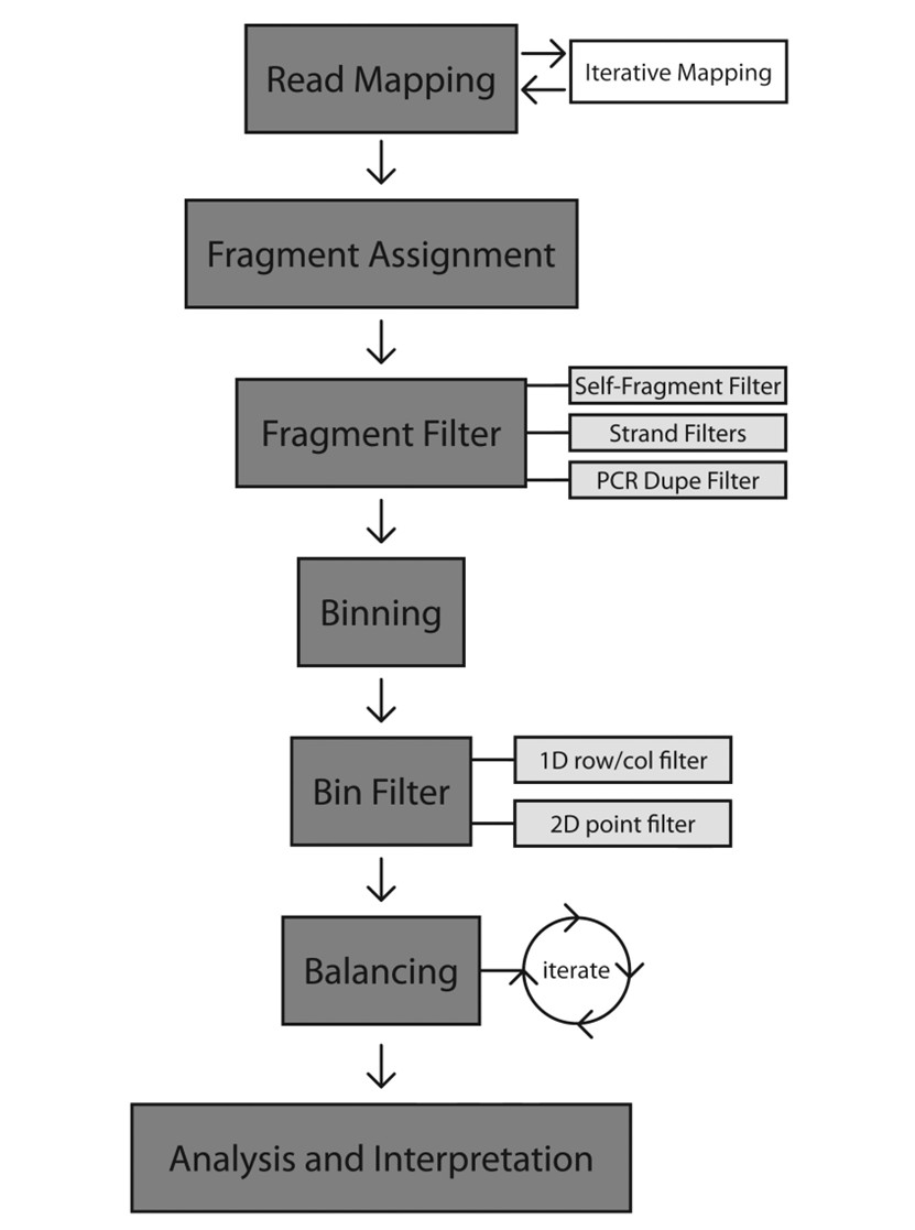 Processing Hi-C Data.