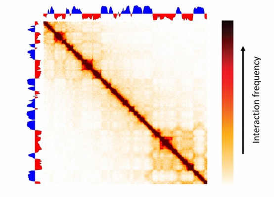 Processing Hi-C Data.