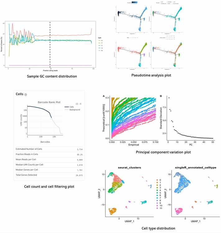 The Single-Cell Sequencing Results Display Figure.