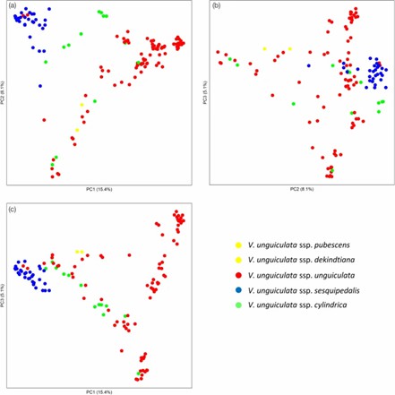 Fig 1. Principal Component Analysis showing the genetic relationships among three domesticated cowpea subspecies. (Wu et al., 2022)