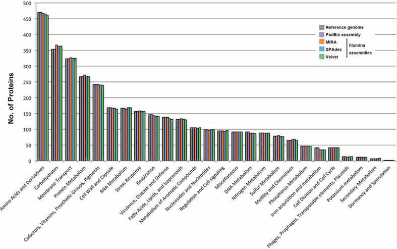 FIGURE 2. Genome sequence data comparison of B. pseudomallei strain across various assemblies. (Teng et al., 2017)