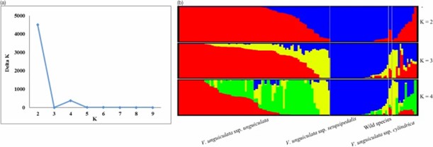 Fig 2. Analysis of population structure for 130 cowpea accessions. (Wu et al., 2022)