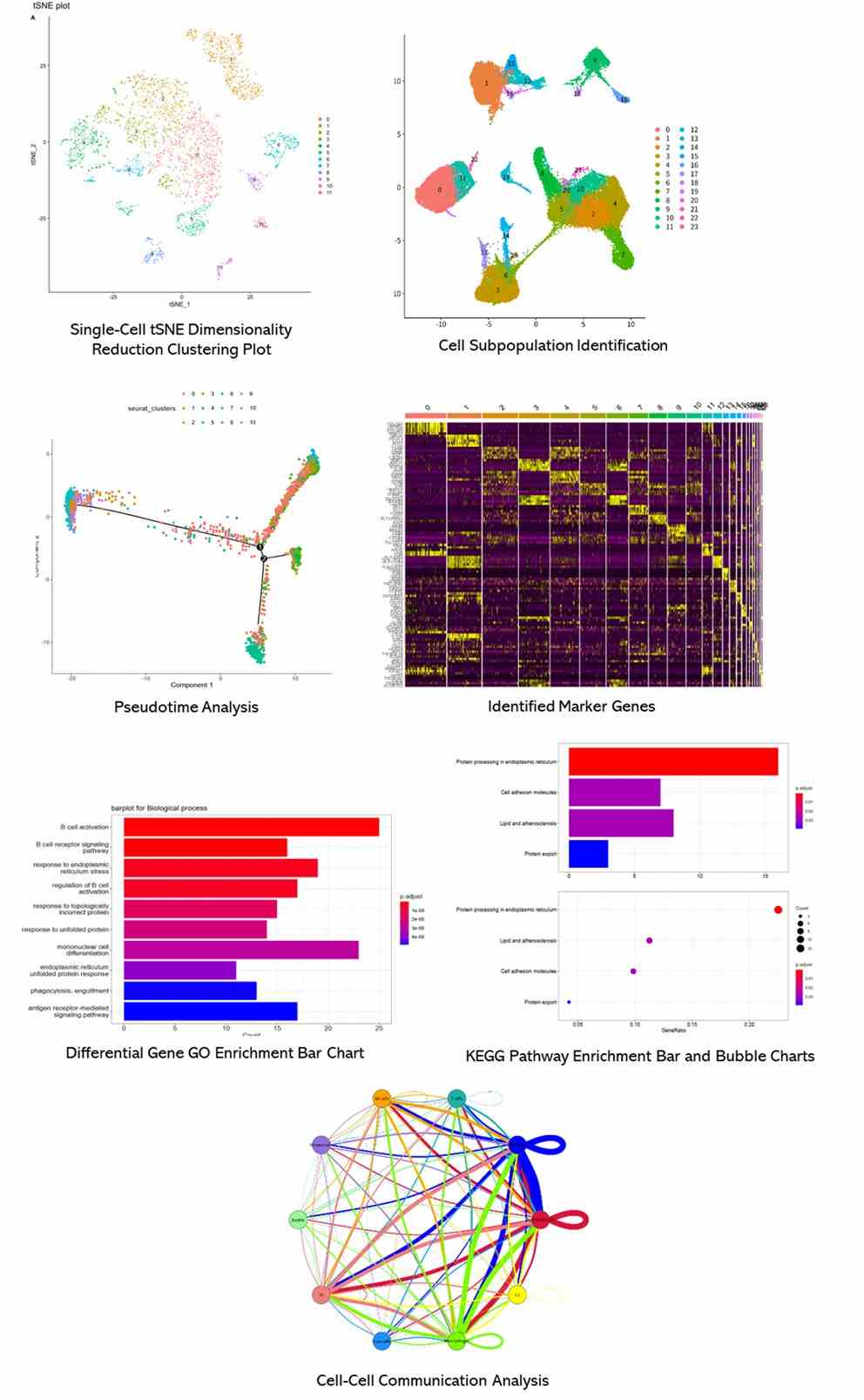 The Data Analysis Pipeline of 10x Single-Cell Sequencing10x Single-Cell Sequencing. 