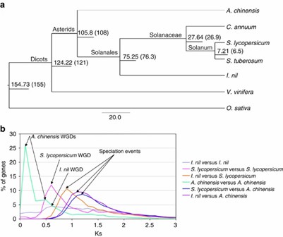 Figure 3: Evolution of the genome. (Hoshino et al., 2016)