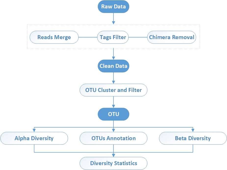 CD Genomics amplicon sequencing analysis pipeline