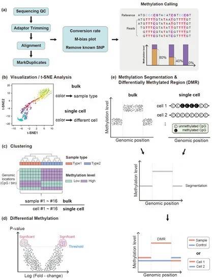 Analysis methods of DNA methylation.