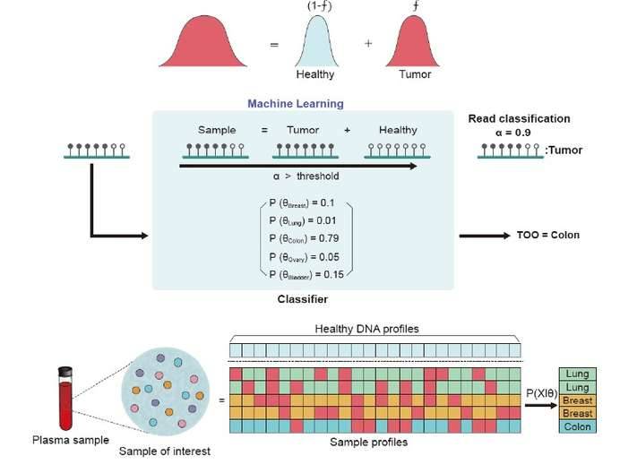 Methylation analysis using Reads methylation patterns.