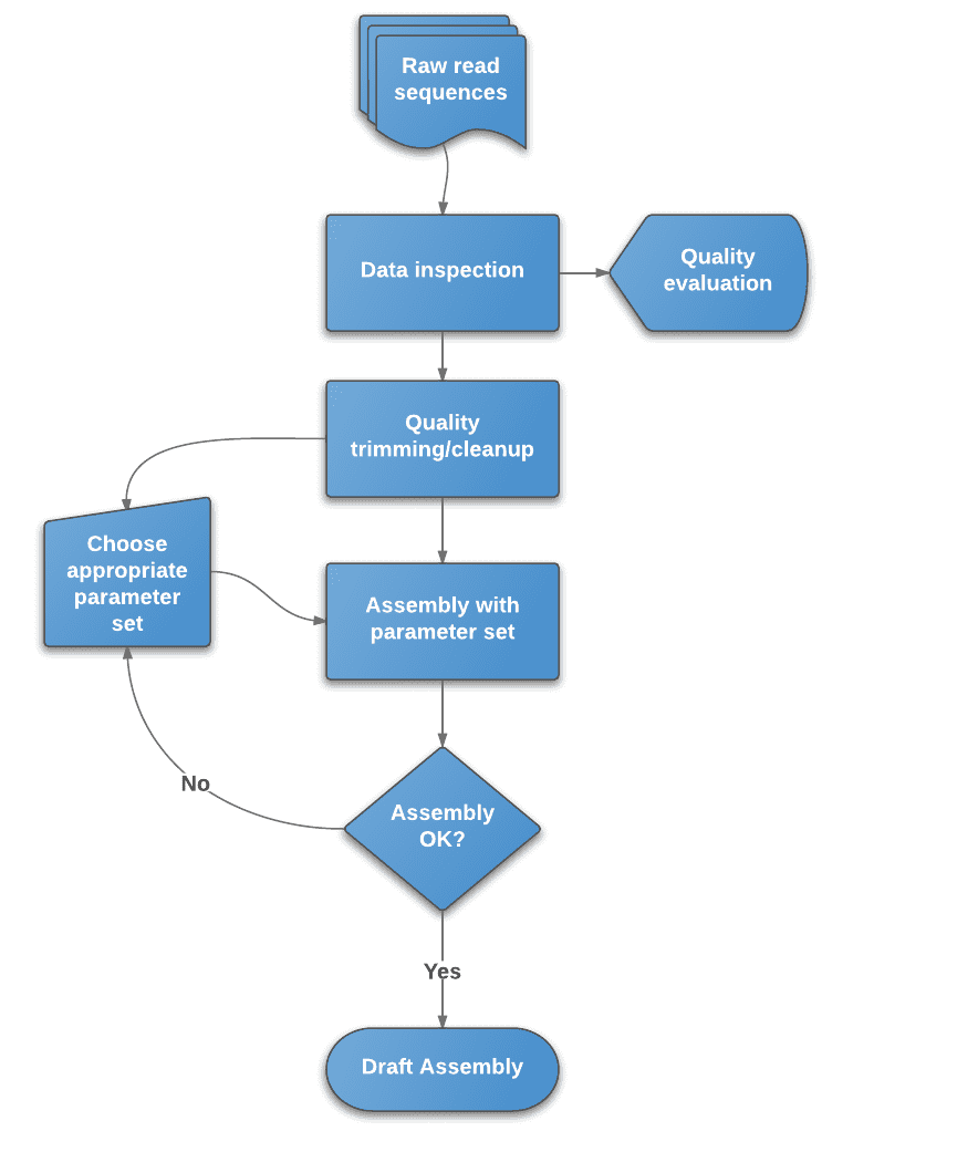 Flowchart of de novo assembly protocol.