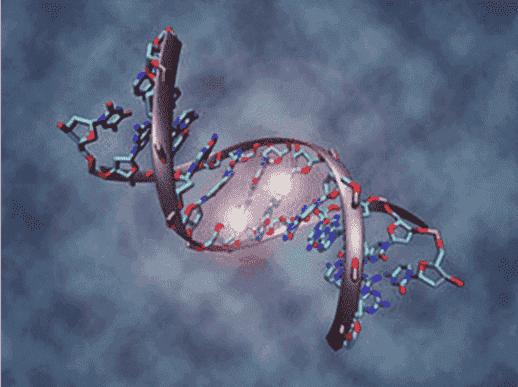 A New Important Function of RNA Modification in Human Cells Is Uncovered