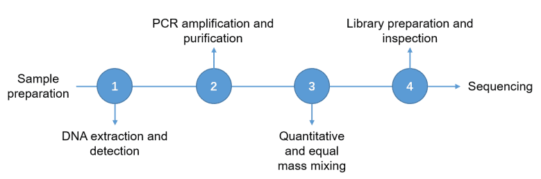 Workflow Diagram of Amplicon Sequencing.