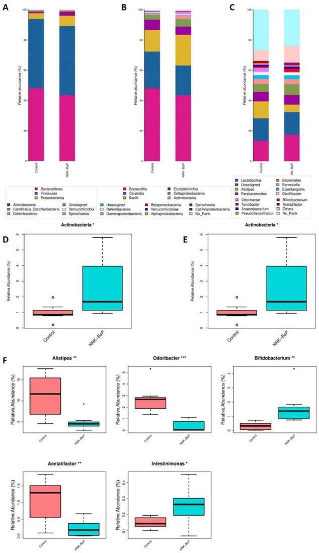 Amplicon Sequencing Technology Reveals The Mysteries of Microbial Populations