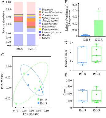 Compositions of different species in the control and miscarriage groups by LEfSe analyses