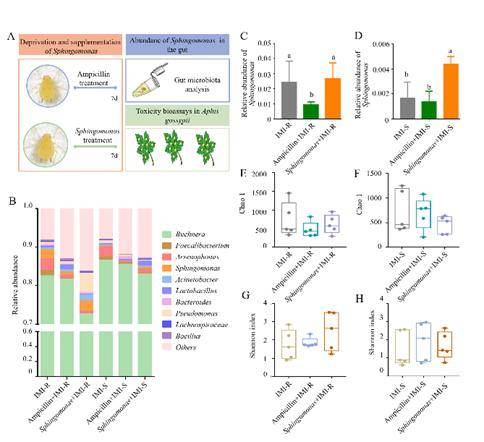 Compositions of different species in the control and miscarriage groups by LEfSe analyses