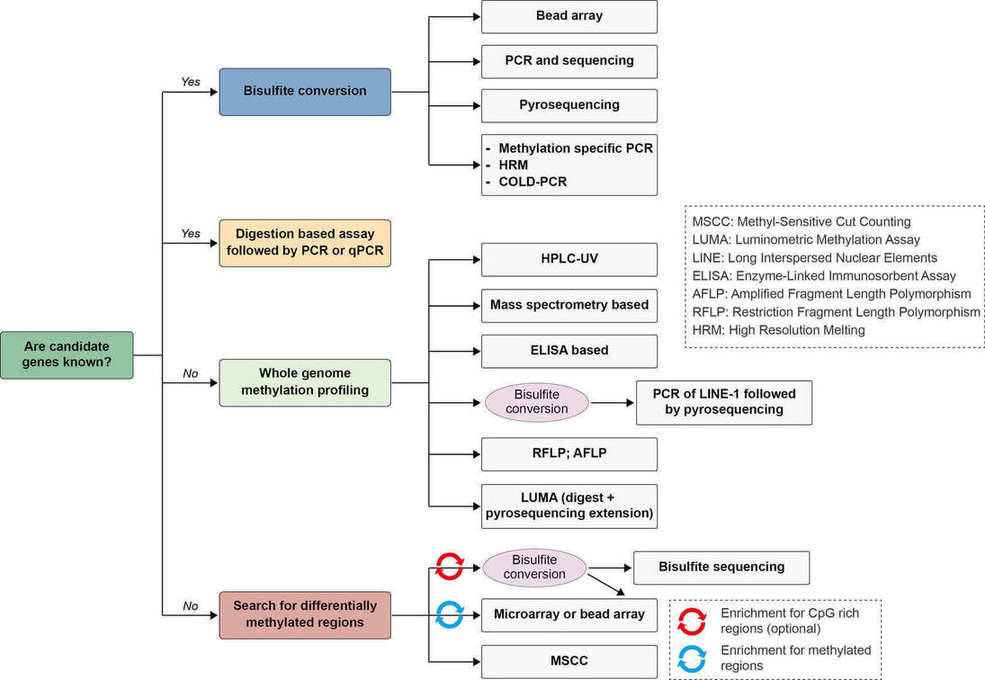 An Introduction to Reduced Representation Bisulfite Sequencing (RRBS)