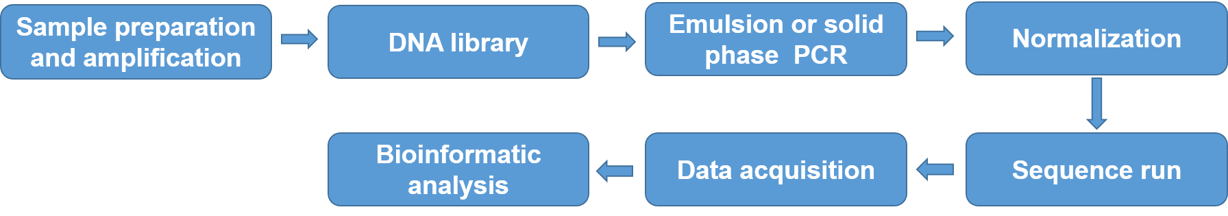 An Overview of HLA Typing