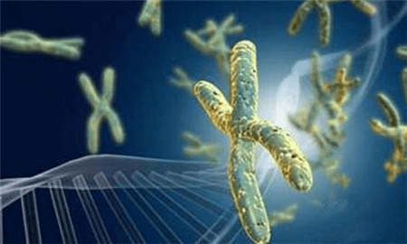 Antibody Screening Sequencing