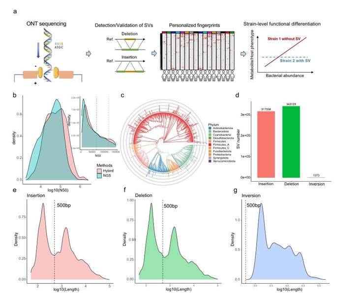 Application of Metagenomic Sequencing in Intestinal Microflora Research