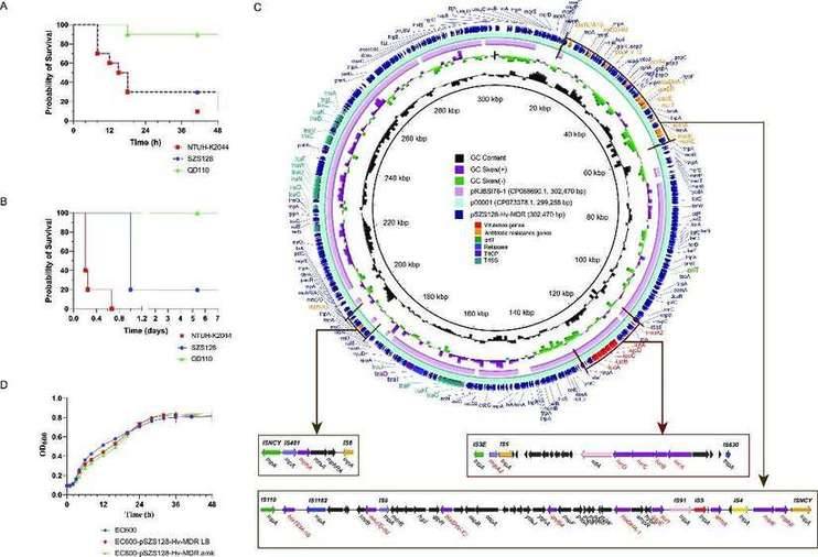 Compositions of different species in the control and miscarriage groups by LEfSe analyses