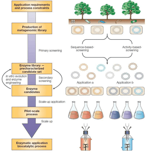 Industrial enzymes – from the metagenome to applications and processes