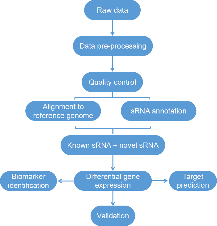 Bioinformatics Analysis of Small RNA Sequencing