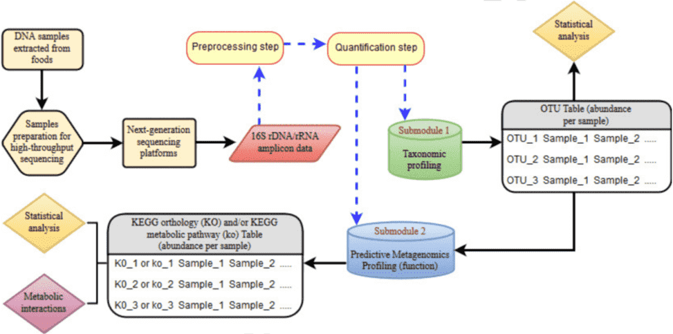 Bioinformatics Analysis of 16S rRNA Amplicon Sequencing