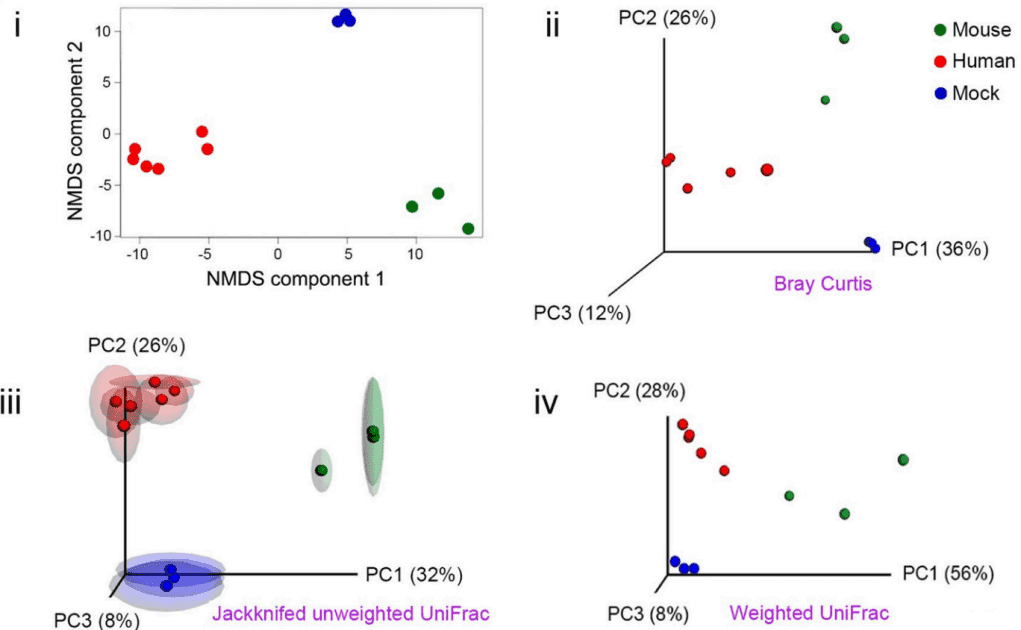 Bioinformatics Analysis of 16S rRNA Amplicon Sequencing