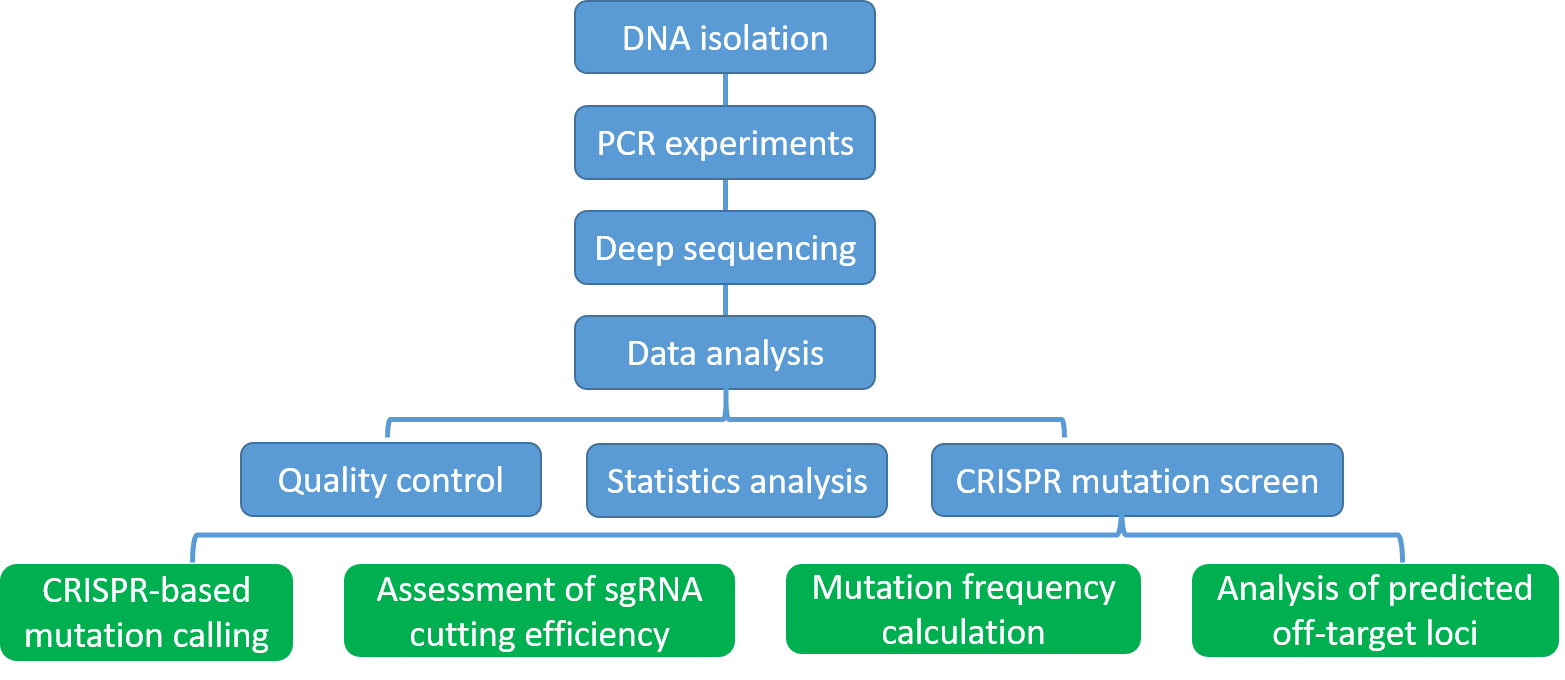 CRISPR Mutation Sequencing