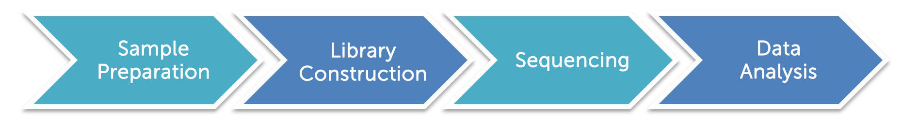 Chloroplast DNA (cpDNA) Sequencing Workflow