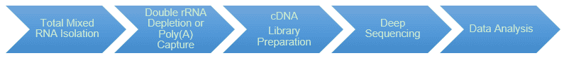 Dual RNA-seq