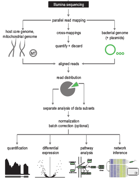 Dual RNA-seq