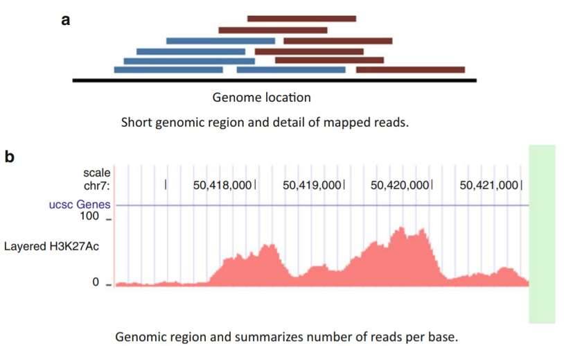 ChIP-seq mapped data