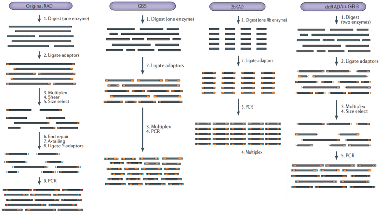 Experimental process of each method 1