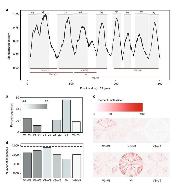 Full-length 16S Amplicon Sequencing Provides A New Idea for Microecological Research