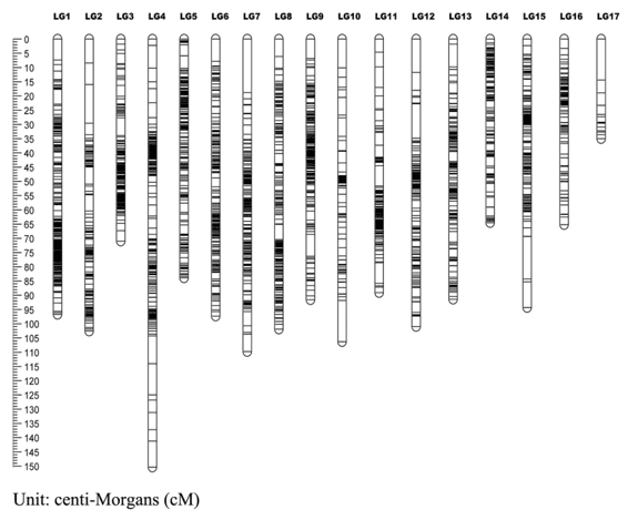 A genetic linkage map of Hawthorn.